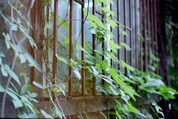 Scan-120529-0010.jpg