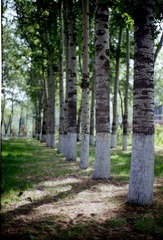 Scan-120527-0001.jpg