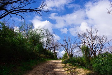 _IGP6452.jpg