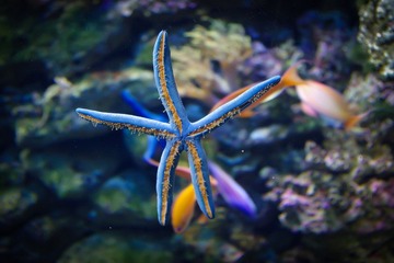 _IGP7148.jpg