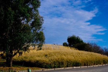 _IGP4281.jpg