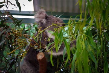 _IGP6270.jpg