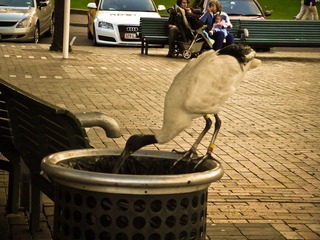DSCF3460.jpg