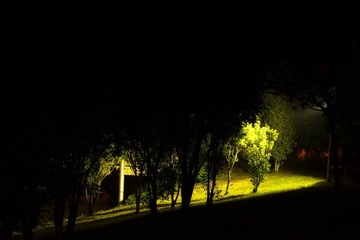 IMGP8970.jpg