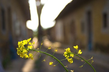 20120214-_IGP6786.jpg
