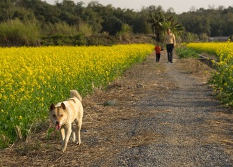 20120214-_IGP6805.jpg