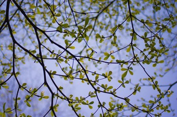 20120324-_IGP8228.jpg
