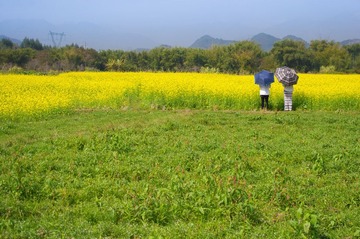 20120214-_IGP6480.jpg