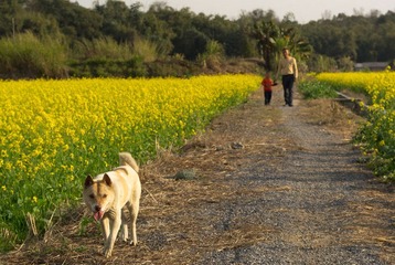 20120214-_IGP6805.jpg