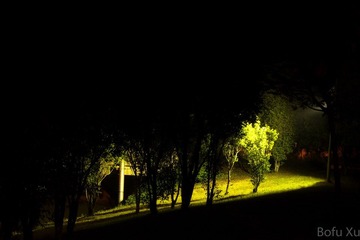 IMGP8970.jpg