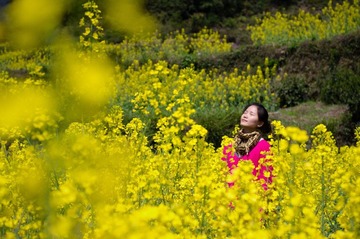 20120405-IMGP9294-2副本.jpg
