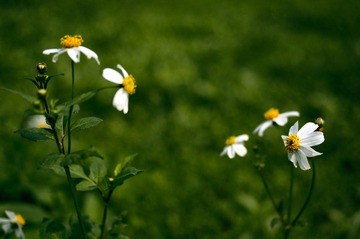 20120324-_IGP8158.jpg