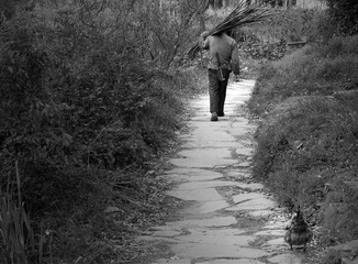 20120405-IMGP9599.jpg