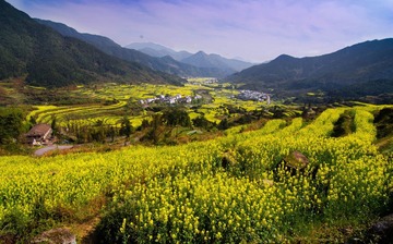 20120405-IMGP9492-2.jpg
