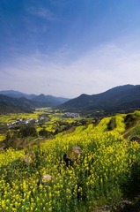 20120405-IMGP9494.jpg