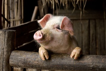 20120405-IMGP9066.jpg