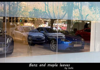 Benz and maple leaves.jpg