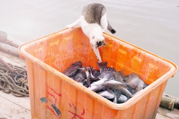 潮州海边-3.jpg