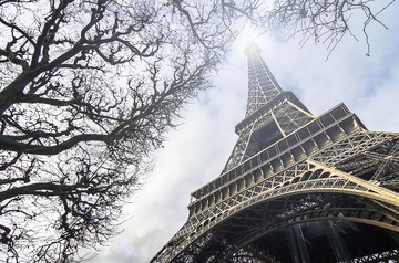 paris-5254