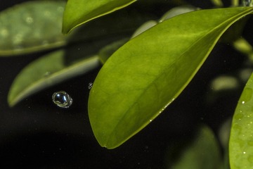 DSC02612_1