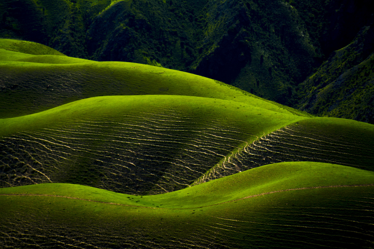 塞上江南:新疆伊犁人体草原