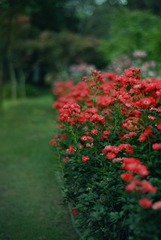 91F46BEE-486F-4566-AFF9-900A7647516F/L0/001