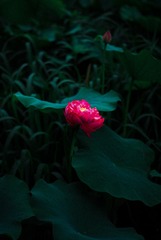 A759F442-0F4F-4833-9DEA-CED9EE08D569/L0/001