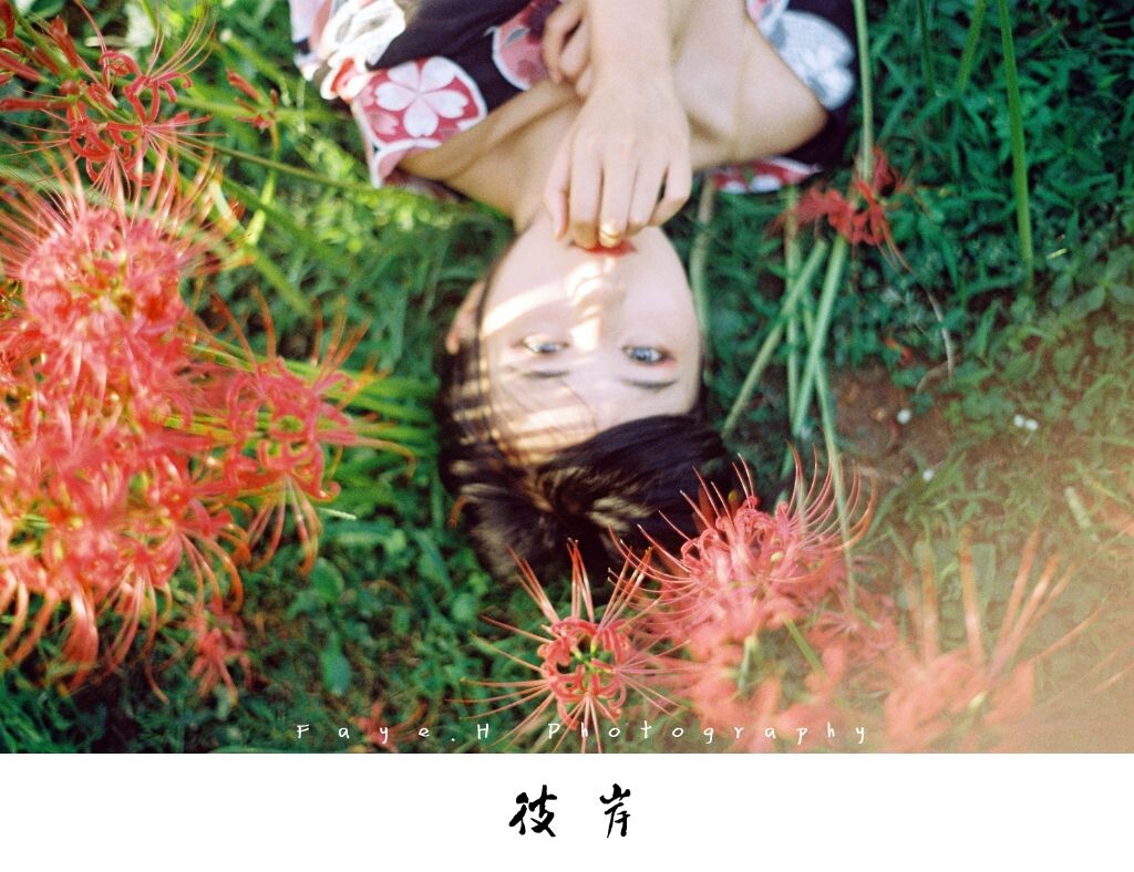念著彼岸,卻註定此岸綻放 。花開有時,竟已是千年。<br />
<br />