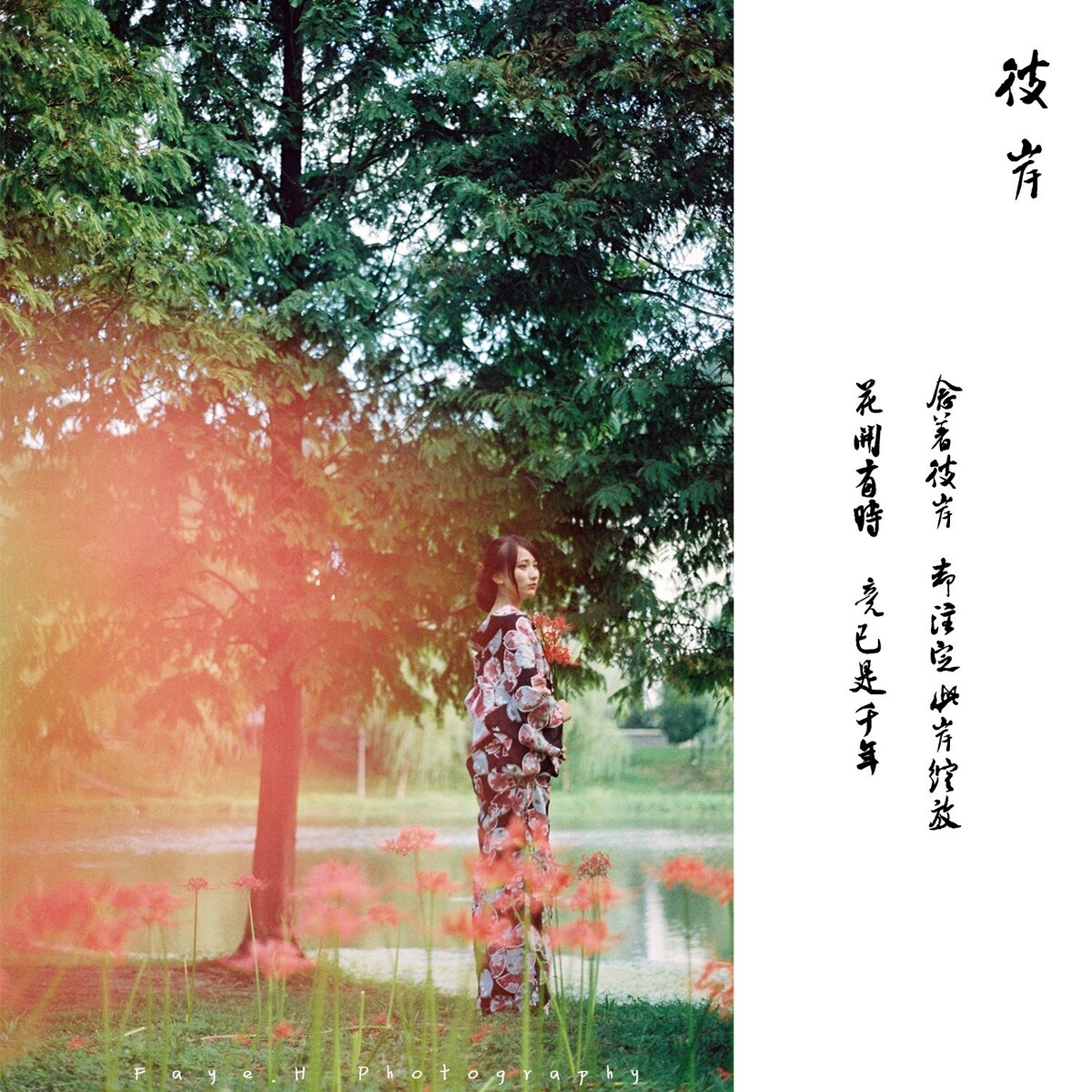 念著彼岸,卻註定此岸綻放 。花開有時,竟已是千年。<br />
<br />