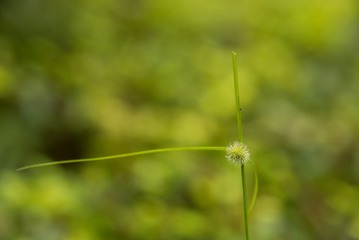 L1002121