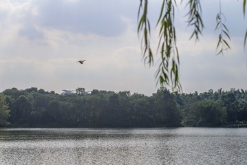 L1002541