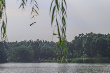 L1002543