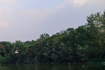 L1002636