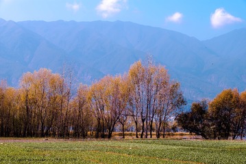 L1004475