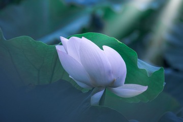 001