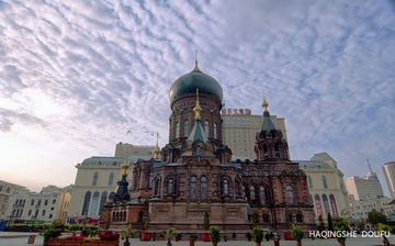 DSC_0541.jpg