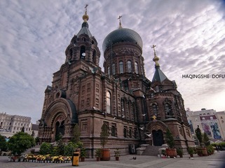 DSC_0558.jpg