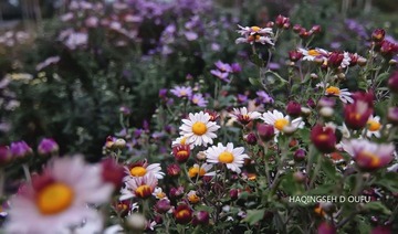 DSC_0711.jpg