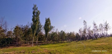 DSC_0564.jpg