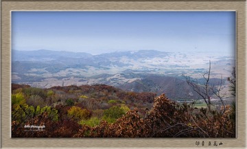 DSC_0941.jpg