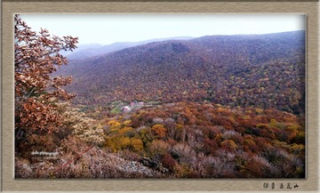 DSC_0944_1.jpg