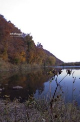 DSC_0719.jpg