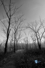DSC_0849.jpg