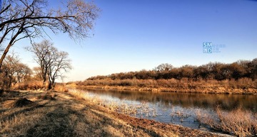 DSC_0874.jpg