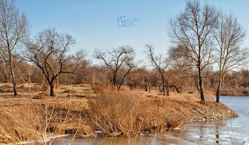 DSC_0850.jpg