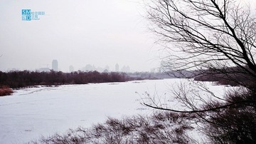 DSC_0139.jpg