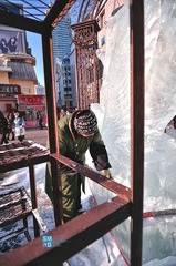 DSC_0036.jpg