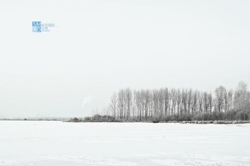 DSC_0037.jpg