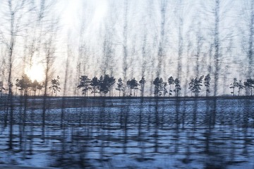 DSC_1072.jpg