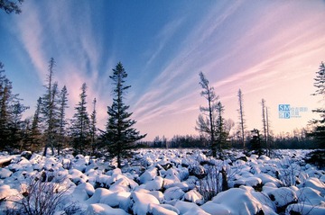 “DSC_1092”为智能对象-1.jpg